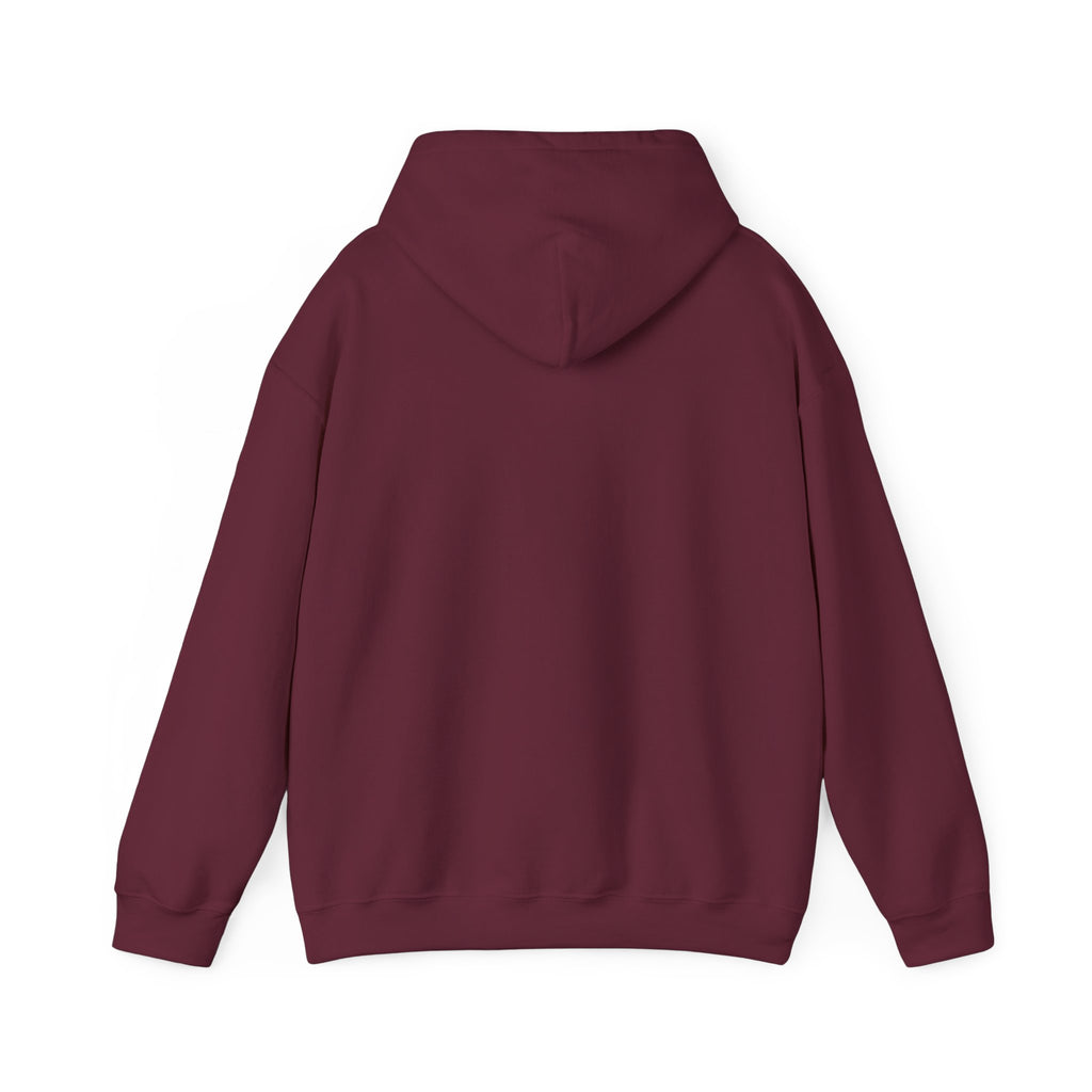 Retro Colorful Quote Hoodie — "Rejoice, again I say rejoice."