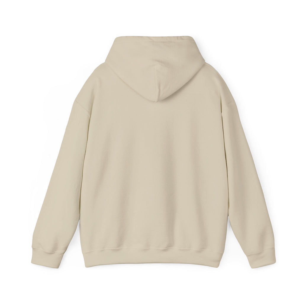 Retro Colorful Quote Hoodie — "Rejoice, again I say rejoice."