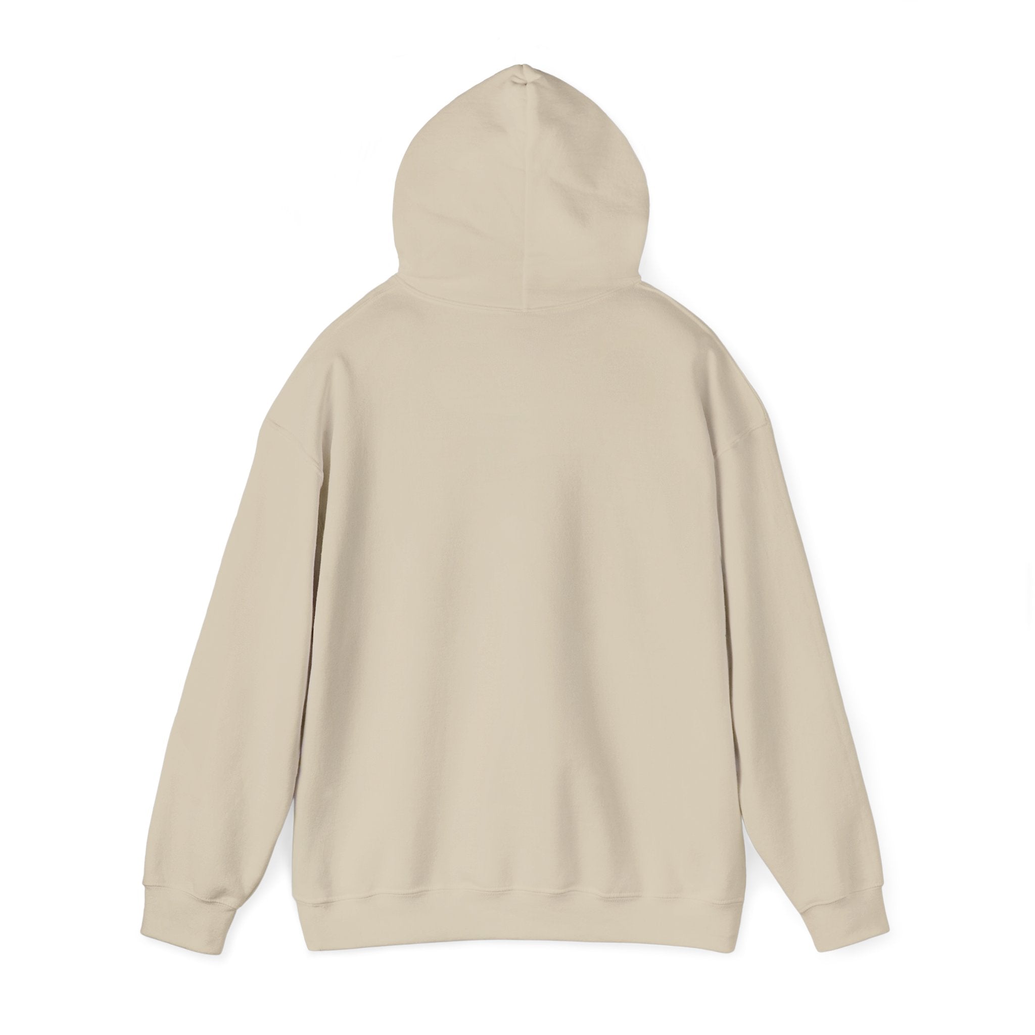 Retro Colorful Quote Hoodie — "Rejoice, again I say rejoice."