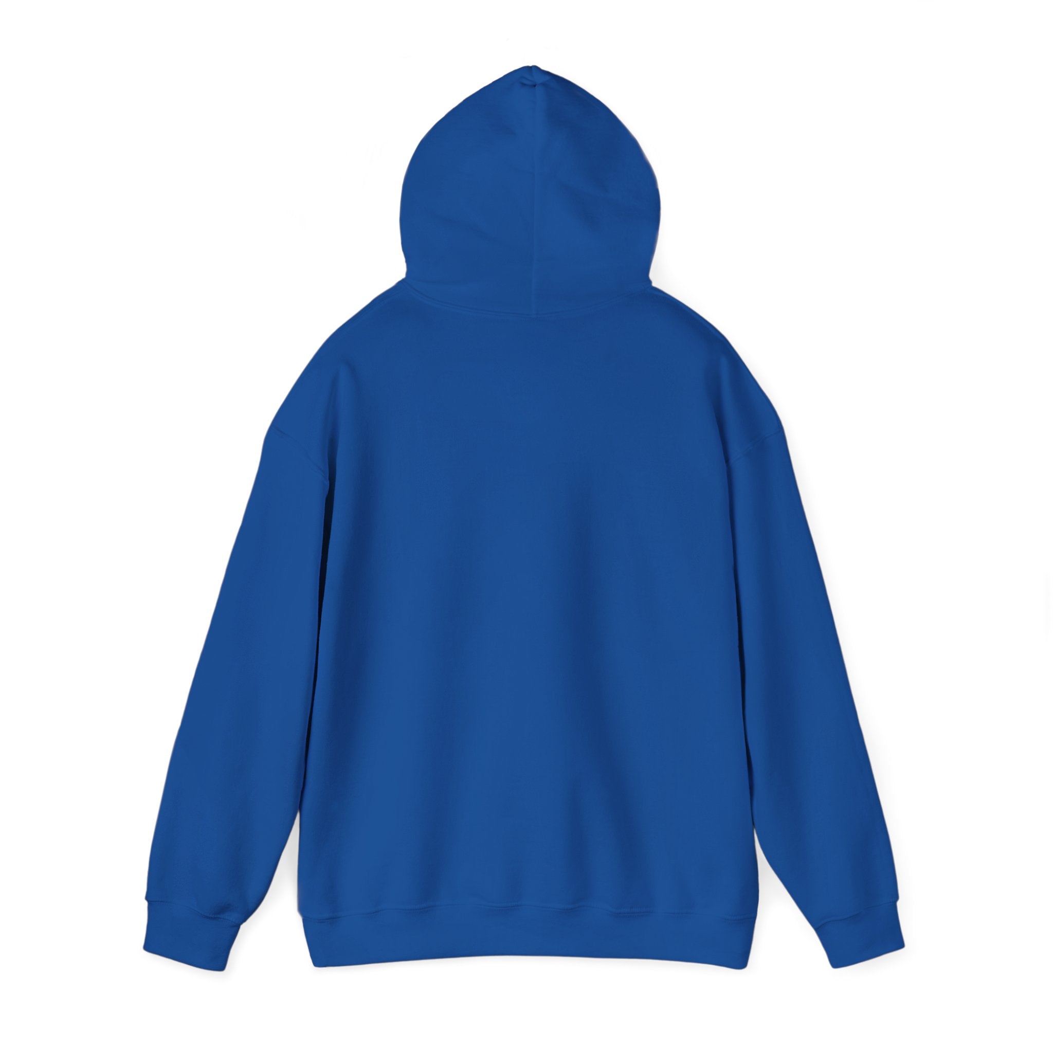 Retro Colorful Quote Hoodie — "Rejoice, again I say rejoice."