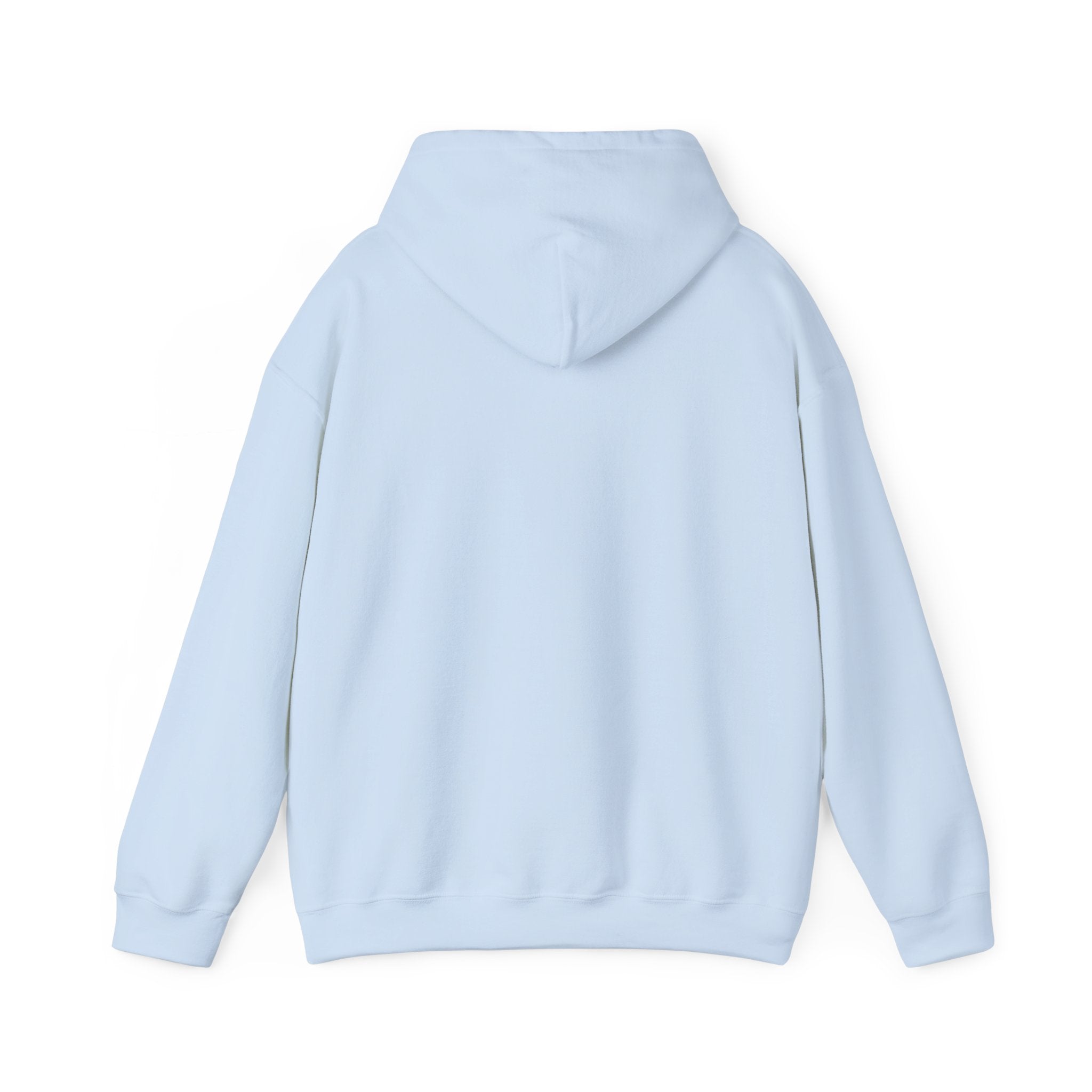 Retro Colorful Quote Hoodie — "Rejoice, again I say rejoice."