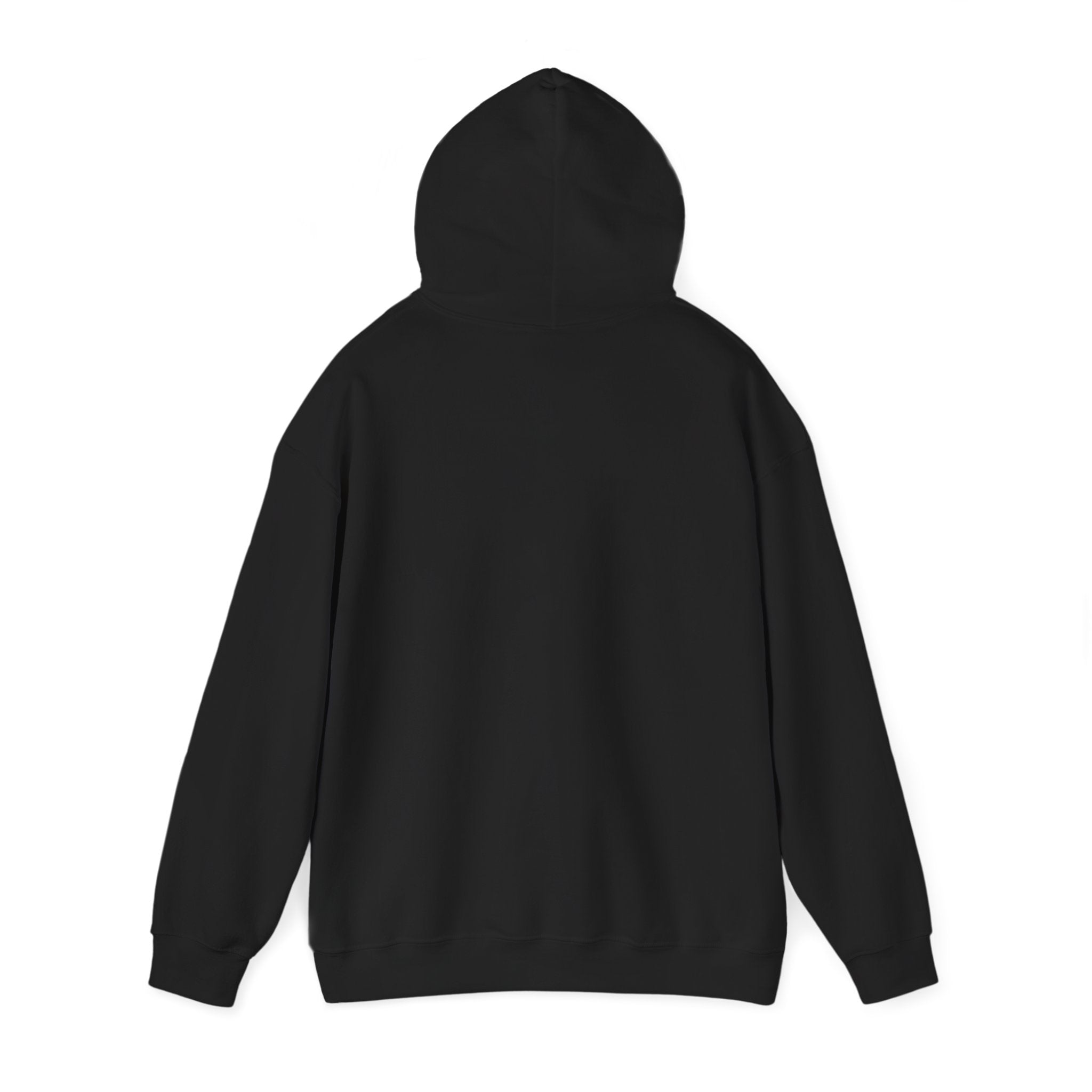 Retro Colorful Quote Hoodie — "Rejoice, again I say rejoice."