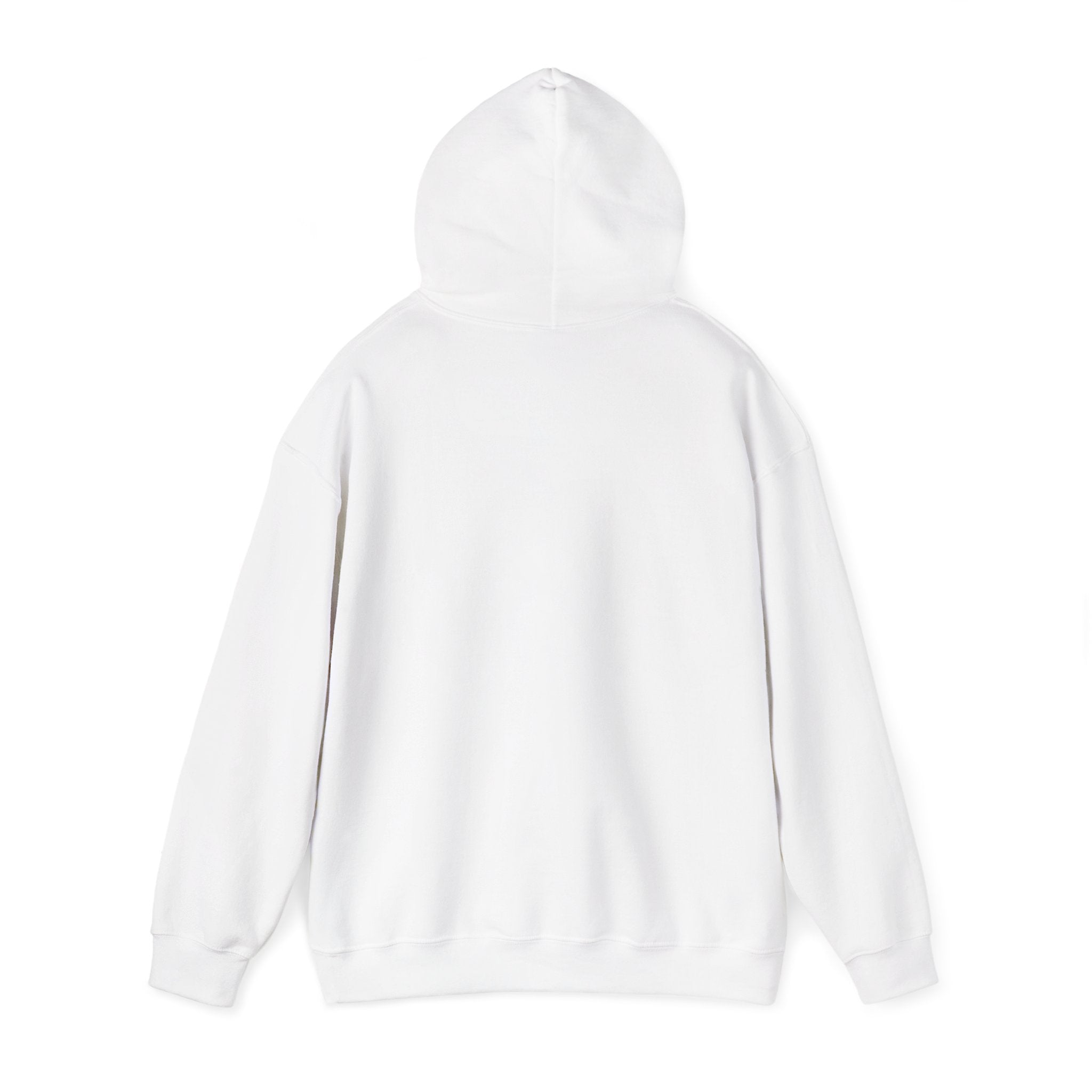 Retro Colorful Quote Hoodie — "Rejoice, again I say rejoice."