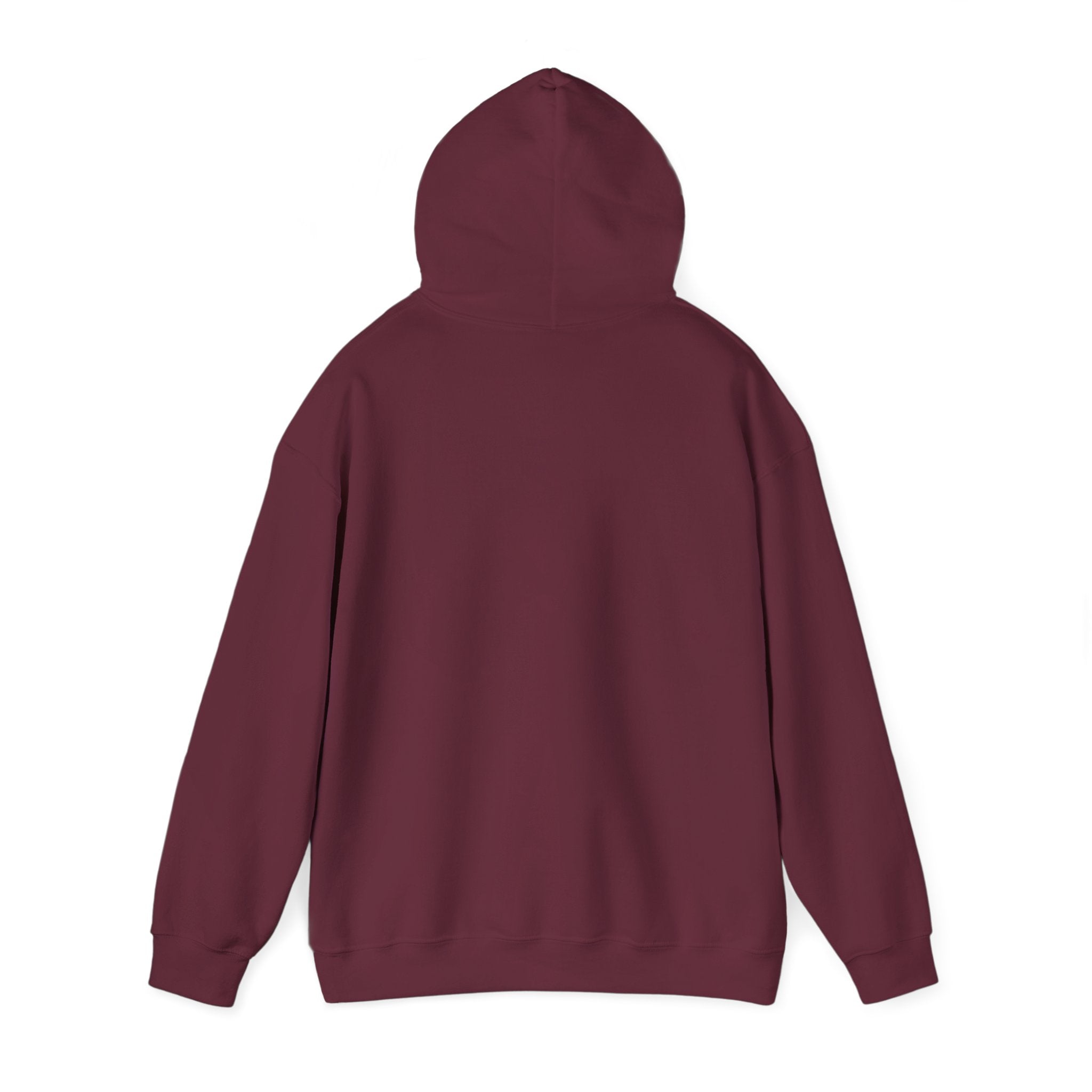 Retro Colorful Quote Hoodie — "Rejoice, again I say rejoice."