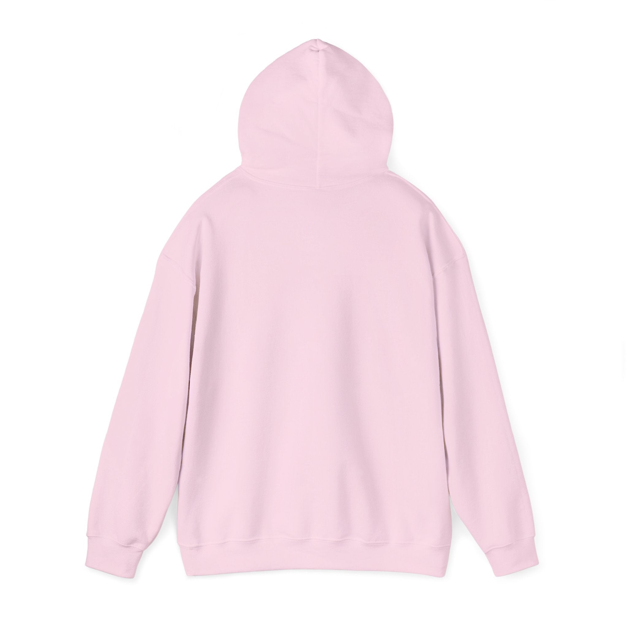 Retro Colorful Quote Hoodie — "Rejoice, again I say rejoice."