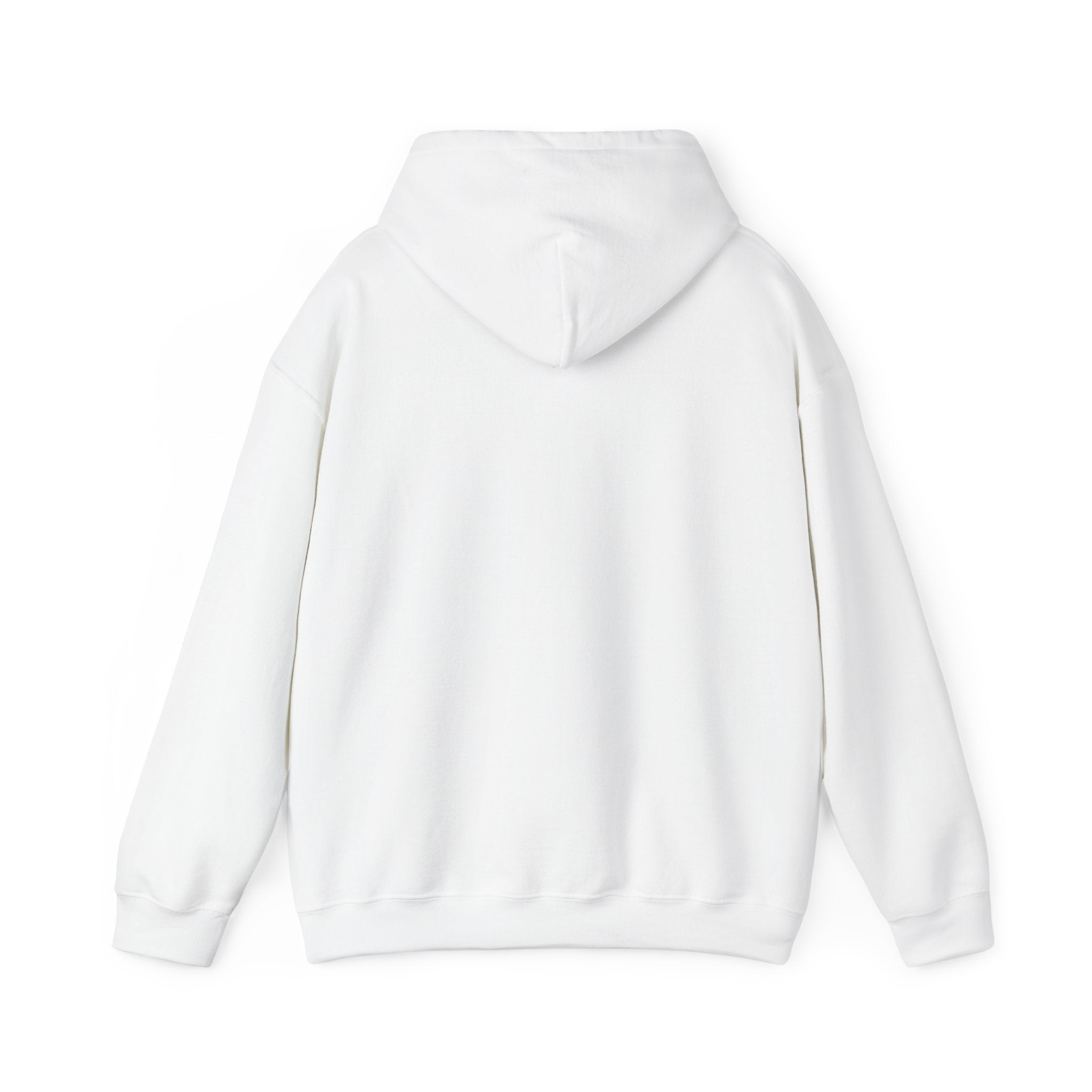 Retro Colorful Quote Hoodie — "Rejoice, again I say rejoice."