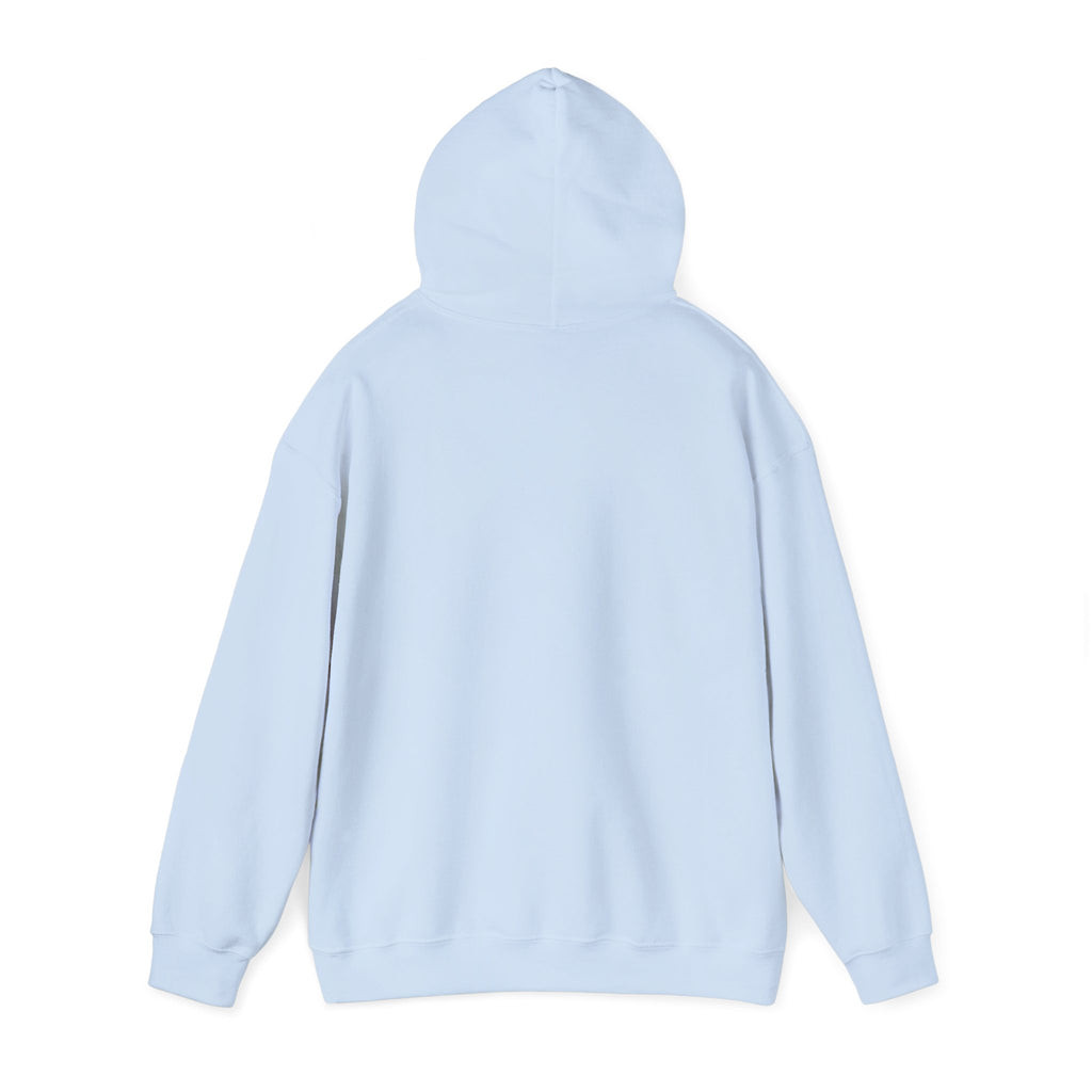 Retro Colorful Quote Hoodie — "Rejoice, again I say rejoice."